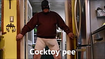 Cocktoy Pee Obedience
