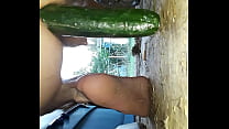 Cucumber in ass
