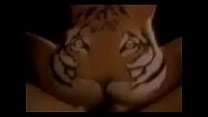 Tiger Eating