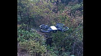Drone on Lummi Island