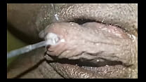 wet vagina lips