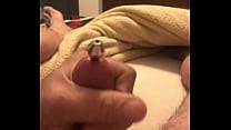 Stainless Penis Plug