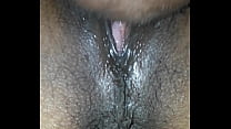 Pussy Licking