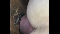 Big Cock Fucks Raw Creams Inside