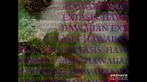 Hawaiian Report