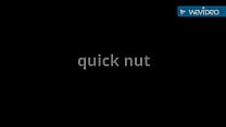Quick nut