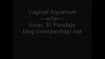 Acuario vaginal