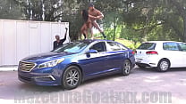 MAZEE fucks mini on top of a car