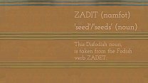 ZATSHLIPET ['sowing seed']