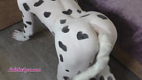 Cute Dalmatian Bitch On A Leash Sucks His Master A Big Dick