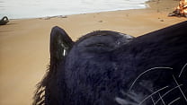Werewolves having sex on the beach