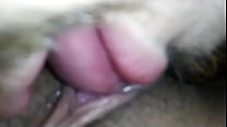 Licking mexican wife yummy wet kat