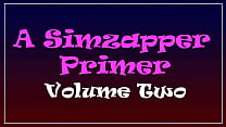 A Simzapper Primer - Vol. 2