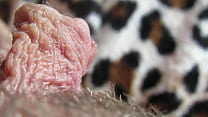 Extreme Closeup On My Huge Pulsating Clit Head