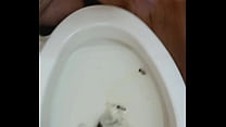 Cumming in a nasty hotel toilet