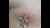 Double Pierced Right Nipple Inspected By Insect