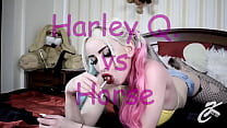 Harley Q. VS Horse