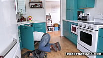 Pigtailed sexy booty Jenna Ross seduces and fuck the repairman