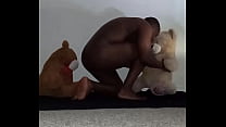in bisexual threesome with light and dark furred teddy bears