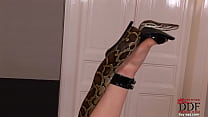 Hot-blooded babe playing with snake
