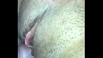 Shaven pussy.