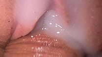 Extremely Close up fuck of a pretty pussy