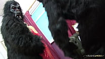 Nothing makes these blonde chicks happier than pleasing two guys in gorilla suits by sucking their delicious dicks before getting their tight pussies screwed hard.