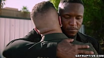 Sensual Interracial Gay Lovemaking