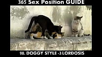 Best sex position for Pregnancy -Doggy style LORDOSIS (365 sex positions Hindi)